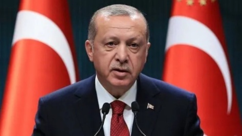 Erdoğan seeks Nigeria’s support for earthquake victims in Türkiye.